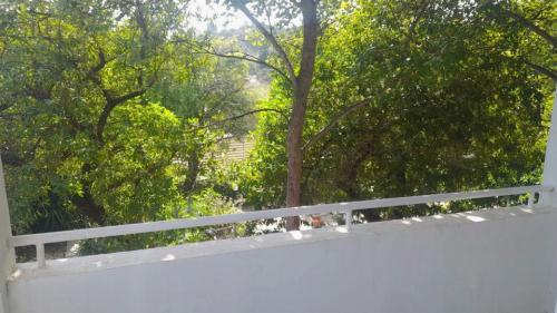 Ενοικιάζεται επιπλωμένη γκαρσονιέρα στην  Ιαλυσό 280€