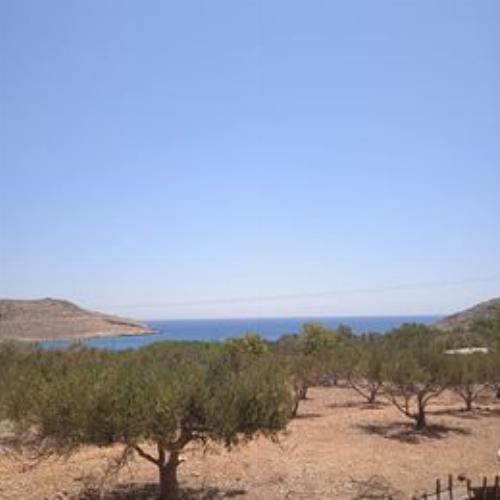 Πωλείται αγροτεμάχιο στήν περιοχή Πόνταμος στήν Χάλκη 